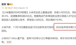 24年将结束！比亚迪小米率先达标，有品牌达成率不到50%