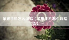 苹果手机怎么调暗（苹果手机怎么调暗色）