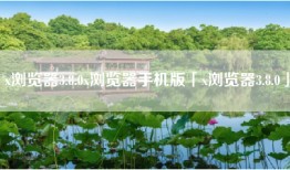 x浏览器3.8.0x浏览器手机版「x浏览器3.8.0」