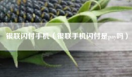 银联闪付手机（银联手机闪付是pay吗）