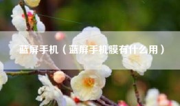 蓝屏手机（蓝屏手机膜有什么用）