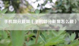 手机部分截屏（手机部分截屏怎么截）