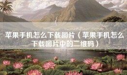 苹果手机怎么下载图片（苹果手机怎么下载图片中的二维码）