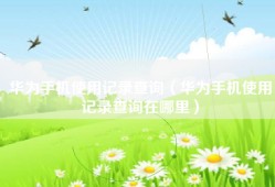 华为手机使用记录查询（华为手机使用记录查询在哪里）