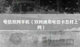 电信双网手机（双网通用电信卡怎样上网）