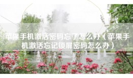 苹果手机激活密码忘了怎么办（苹果手机激活忘记锁屏密码怎么办）