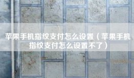 苹果手机指纹支付怎么设置（苹果手机指纹支付怎么设置不了）