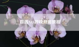群晖NAS游戏开服教程