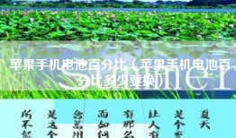 苹果手机电池百分比（苹果手机电池百分比多少要换）