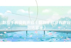 魅族手机没有声音（魅族手机没有声音包括蓝牙）