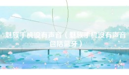魅族手机没有声音（魅族手机没有声音包括蓝牙）