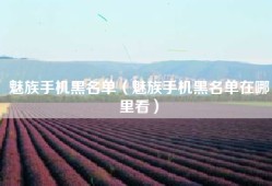 魅族手机黑名单（魅族手机黑名单在哪里看）