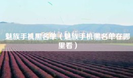 魅族手机黑名单（魅族手机黑名单在哪里看）