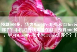 预算6000多，华为Mate60Pro和小米13Ultra选哪个？手机红外线功能在哪「预算6000多，华为Mate60Pro和小米13Ultra选哪个？」