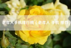 老年人手机排行榜（老年人 手机 推荐）