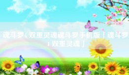 魂斗罗4 双重灵魂魂斗罗手机版「魂斗罗4 双重灵魂」
