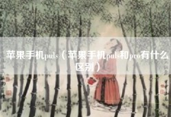 苹果手机puls（苹果手机puls和pro有什么区别）