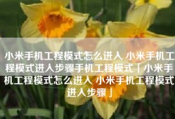 小米手机工程模式怎么进入 小米手机工程模式进入步骤手机工程模式「小米手机工程模式怎么进入 小米手机工程模式进入步骤」