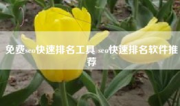免费seo快速排名工具 seo快速排名软件推荐