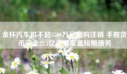 金杯汽车拟不超5500万元回购注销 手握货币资金22.3亿元可覆盖短期债务
