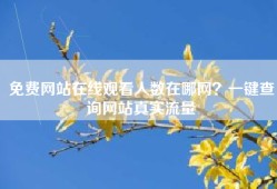 免费网站在线观看人数在哪网？一键查询网站真实流量
