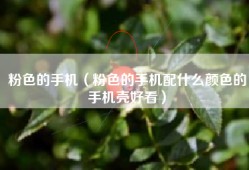 粉色的手机（粉色的手机配什么颜色的手机壳好看）