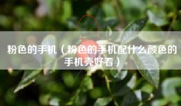 粉色的手机（粉色的手机配什么颜色的手机壳好看）