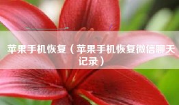 苹果手机恢复（苹果手机恢复微信聊天记录）