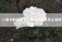 三星手机照片（三星手机照片怎么传到电脑）