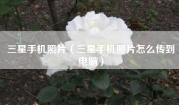 三星手机照片（三星手机照片怎么传到电脑）