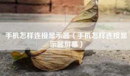 手机怎样连接显示器（手机怎样连接显示器屏幕）