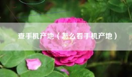 查手机产地（怎么看手机产地）