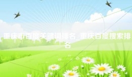 重庆市百度关键词排名_重庆百度搜索排名