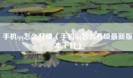 手机qq怎么升级（手机qq怎么升级最新版本下载）