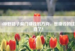 4种野路子偏门赚钱的方向，想赚钱的注意了！