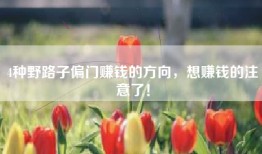 4种野路子偏门赚钱的方向，想赚钱的注意了！