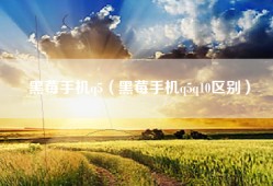 黑莓手机q5（黑莓手机q5q10区别）