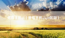 黑莓手机q5（黑莓手机q5q10区别）