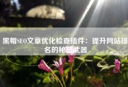 黑帽SEO文章优化检查插件：提升网站排名的秘密武器