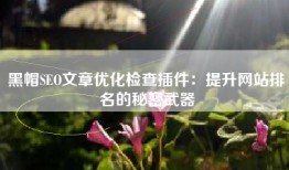 黑帽SEO文章优化检查插件：提升网站排名的秘密武器