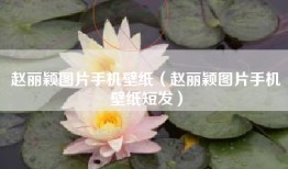 赵丽颖图片手机壁纸（赵丽颖图片手机壁纸短发）