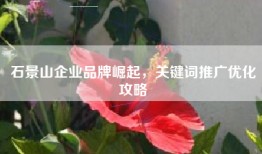 石景山企业品牌崛起，关键词推广优化攻略