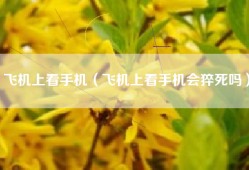 飞机上看手机（飞机上看手机会猝死吗）