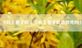 飞机上看手机（飞机上看手机会猝死吗）