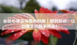 社区心理咨询暖心回顾｜即到即谈，让心理支持触手可及！