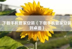 下载手机管家安装（下载手机管家安装到桌面）