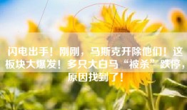 闪电出手！刚刚，马斯克开除他们！这板块大爆发！多只大白马“被杀”跌停，原因找到了！
