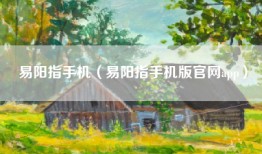 易阳指手机（易阳指手机版官网app）