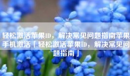 轻松激活苹果ID，解决常见问题指南苹果手机激活「轻松激活苹果ID，解决常见问题指南」