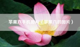 苹果六手机图片（苹果六的图片）